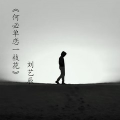 对酒当歌 (DJ版)