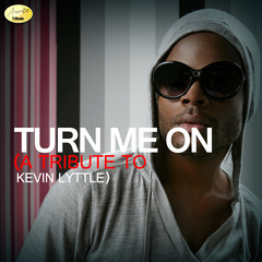 Turn Me On (A Tribute to Kevin Lyttle)