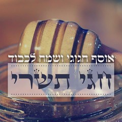 Hashem Echad