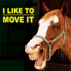 I Like To Move It (Karaoke Club Mix Extended 2009)