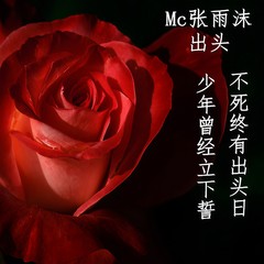 过气麦手