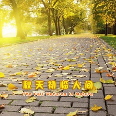 我是风云主宰 (伴奏)