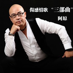 你走了让我好伤悲 (伴奏)