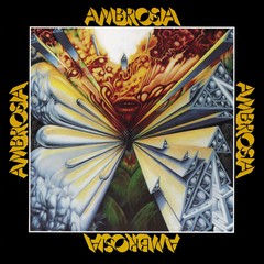 Mama Frog (Album Version)