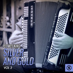 Steel Guitar Rag
