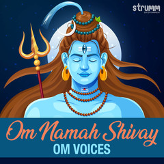 Om Namah Shivay