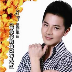 等你等到油菜花儿开