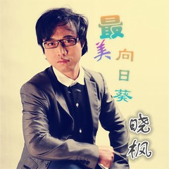 最美向日葵
