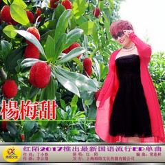 杨梅甜 (伴奏)