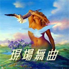 练习 (DJ版)