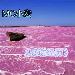 我的小可爱