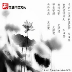 没有一首情歌适合我 (伴奏)