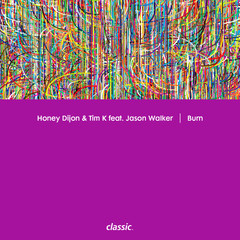 Burn (Step Into The Knight)