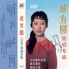 什锦菜